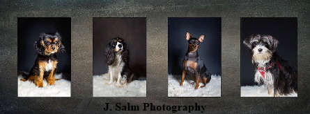 J.Salm Photography